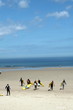 Surfers at the beach
