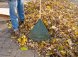Photo: Garden Rake and heap of leaves Garden Rake and heap of leaves