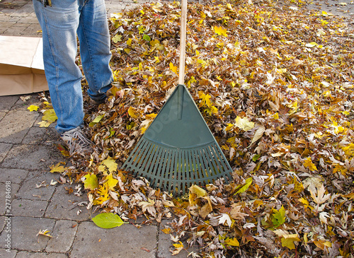 Photo: Garden Rake and heap of leaves Garden Rake and heap of leaves