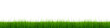High resolution 3d green grass isolated on a white High resolution 3d green grass isolated on a white