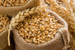 Wheat
