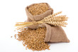 Wheat