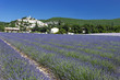 de la lavande de la lavande