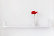 Decorative shelf