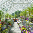greenhouse, Birr Castle Gardens, County Offaly, Ireland greenhouse, Birr Castle Gardens, County Offaly, Ireland