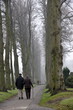 Senioren spazieren im Morgennebel auf dem herbstlichen Friedhof