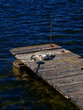 Foto: Seil am Steg Seil am Steg