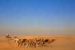 Sahara Wüste