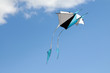 Foto: Drachen am Himmel Drachen am Himmel