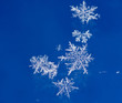 Natural snowflakes Natural snowflakes