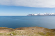 Fjord auf Island