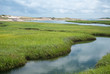 wetlands