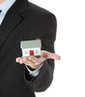 Young business man with house model