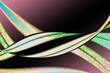 abstract elegant background design with space for your text