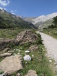 Parque Nacional de Ordesa en los Pirineos