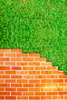 Brick wall fence and grass field texture background Brick wall fence and grass field texture background