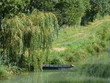 marais poitevin