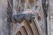 Gargoyle