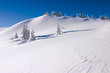 Winterlandschaft