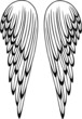 Flügel, Federn, Engel, wings, vector Flügel, Federn, Engel, wings, vector