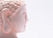 Buddha im Profil
