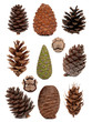 Cones collection Cones collection