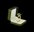 Ring in ring box