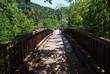 pont de bois