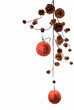 christmas branch decoration / backdrop