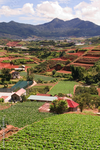 Photo: Vietnam Farmland Portrait Vietnam Farmland Portrait