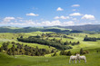 Two lambs grazing on the picturesque landscape background Two lambs grazing on the picturesque landscape background