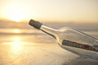 message in a bottle