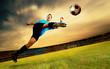 Happiness football player on field of olimpic stadium on sunrise Happiness football player on field of olimpic stadium on sunrise