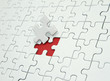 Missing Piece