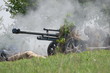 German cannon of WWII