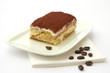 Portion of self-made tiramisu dessert served on a plate