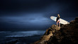 Surfer girl Surfer girl