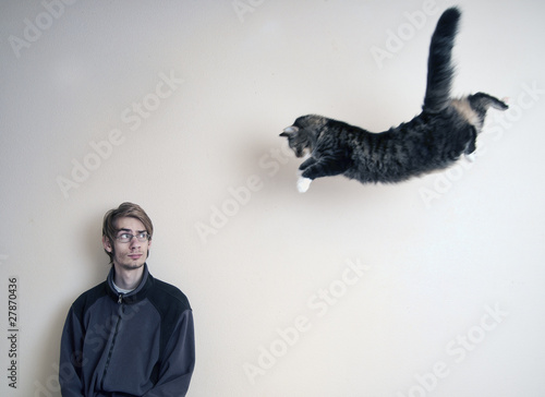 Photo: Cat Pounce Cat Pounce