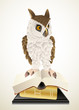 owl and books owl and books