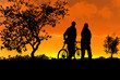 Couple walking in the park at sunset