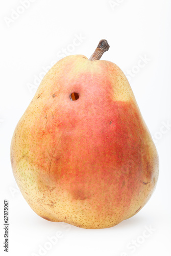 Photo: Pear with worm hole Pear with worm hole