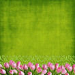Wedding or easter  tulips backgound