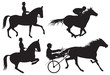 Equestrian sport horses and riders