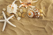 shells and stones on sand shells and stones on sand
