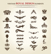 vector flower vintage royal design element