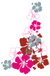 Hibiscus vector