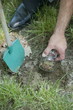 Hand with shovel hiding jar of coins in grass