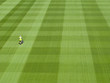 Groundskeeper mowing green grass of sports field