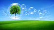 Tree in a bubble