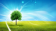 landscape